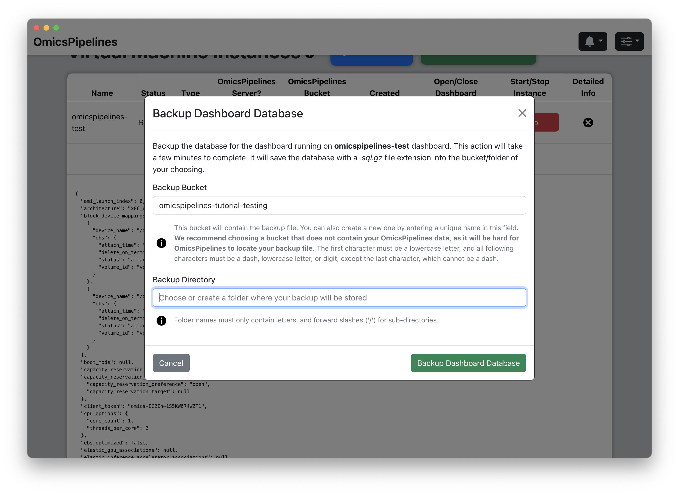 Backup Instance